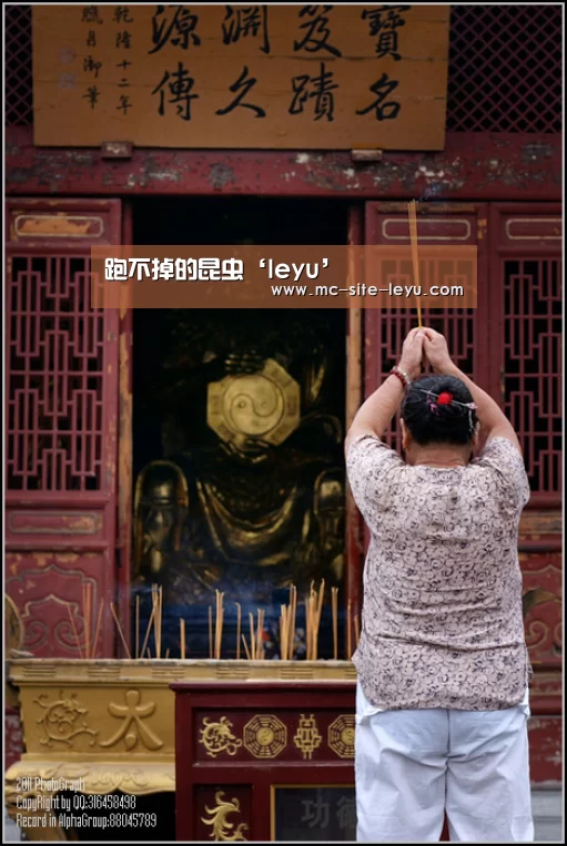 乐鱼