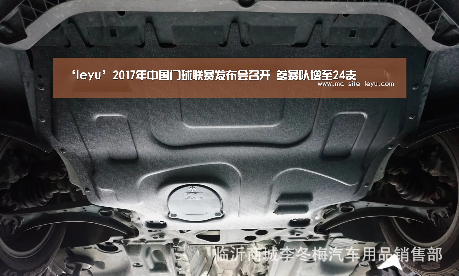 乐鱼