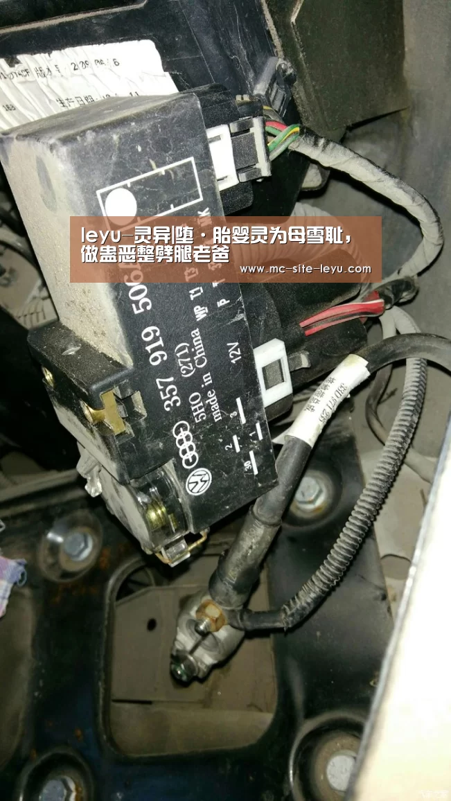 乐鱼