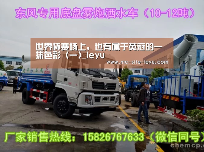 世界杯赛场上，也有属于英冠的一抹色彩 (一)_leyu(图4)