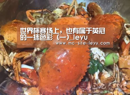 世界杯赛场上，也有属于英冠的一抹色彩 (一)_leyu(图2)
