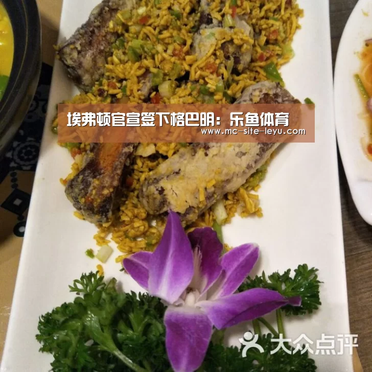 埃弗顿官宣签下格巴明:乐鱼体育(图2) 埃弗顿官宣签下格巴明:乐鱼体育(图2)