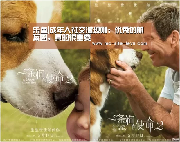 乐鱼|成年人社交潜规则:优秀的朋友圈,真的很重要(图2) 乐鱼