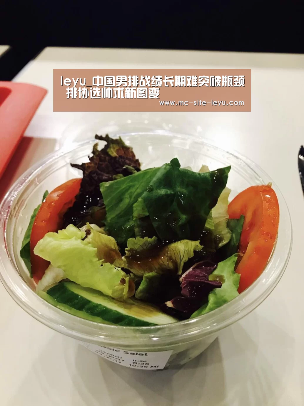 乐鱼