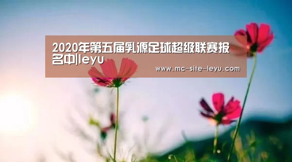 2020年第五届乳源足球超级联赛报名中|leyu(图4) 乐鱼体育