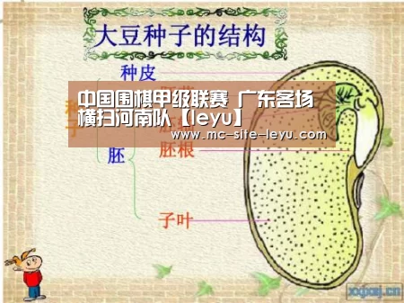 乐鱼